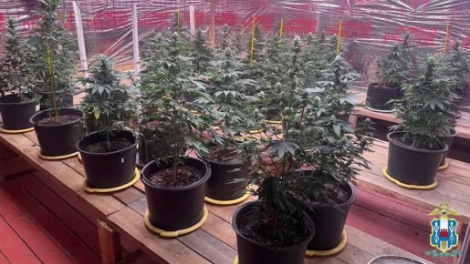 ���������� ������� ������ � ������ ������ ��������, 107 ������ �������, ��������� � ����� ���������