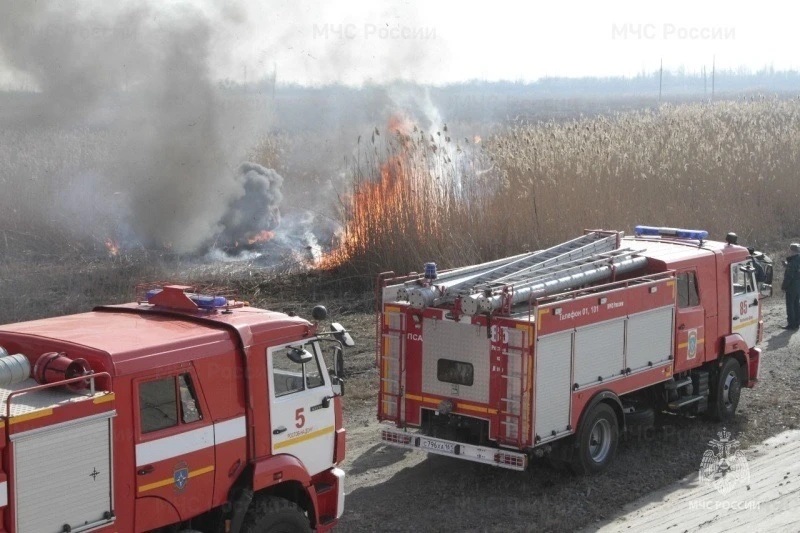 На Дона продолжаются плановые выжигания сухой растительности