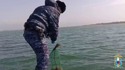 Ростовские полицейские за день вызволили из ловушек браконьеров и вернули в водоёмы более 9 тысяч раков