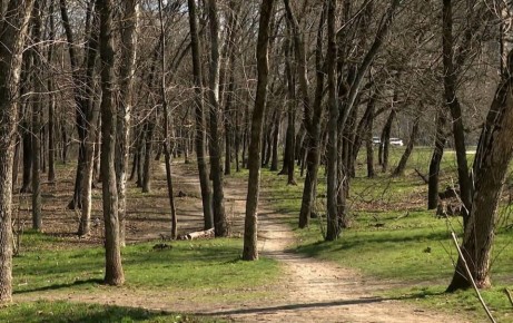 ���������� ������ ����� ���������� ��� ����� �������� � �������