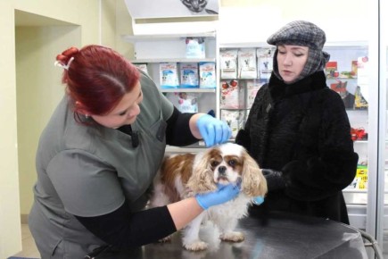 �� ���� ������� ��������� ���� �������� ������������ ��������-�����������