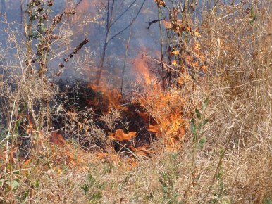 � ������� �� �������� ������ ��������� ���� ����������� �������