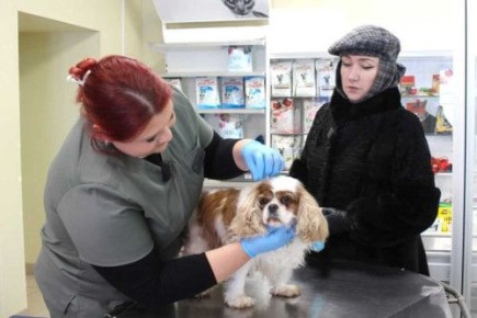 � ������� 26 ����� ������ ��������� ���� �������� ������������ ��������