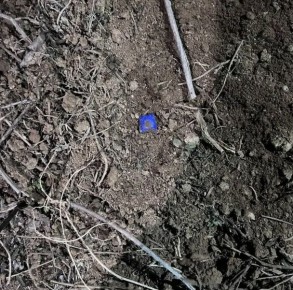 � ����������� ����������� ��������� �������������� � ��������� �� ���� ����������