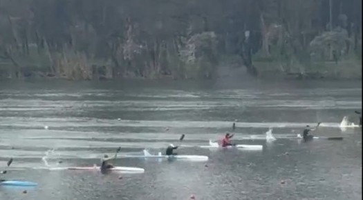 ����������� ���� ����������� ������������� ������������ �� ������ �� ��������� � �����