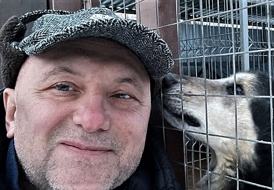 Про собак-проводников и компенсации