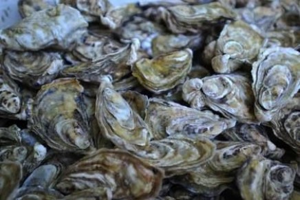 ����� ������������ ������� ��������������� � �������� ����