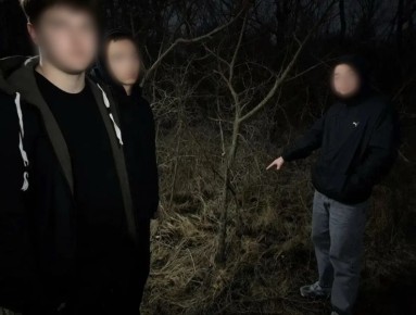 �� ����������� � ���������� ����: ���������������� ����������� ��������� ������� �� ���� �� ������� � ����������