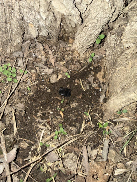 В Новочеркасске задержан 60-летний наркосбытчик