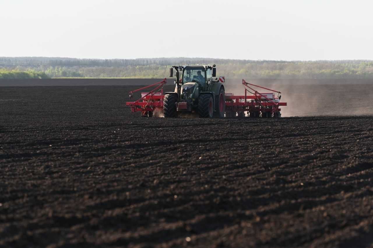 Полевой дневник: весенняя посевная кампания набирает темп