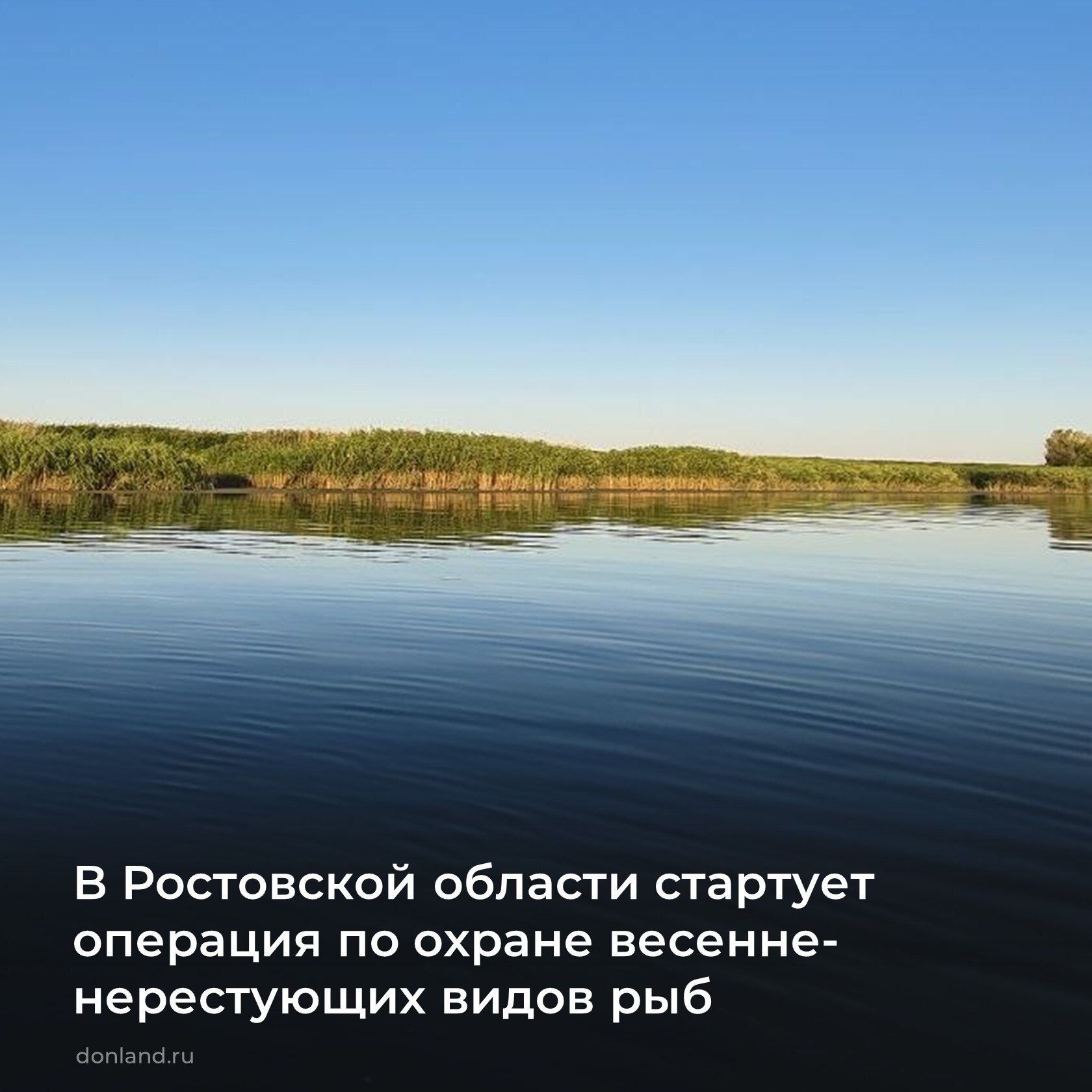 Первого апреля на Дону стартует двухмесячник по охране весенненерестующих видов рыб в рамках операции «Путина2026» (с 1 апреля по 31 мая)