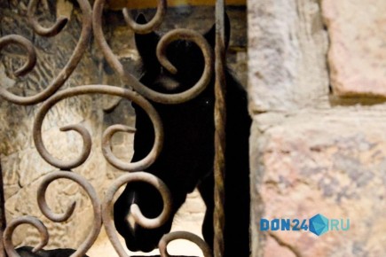 ������� �� ������ ��� ����������� �������� ������ ����������� ���������