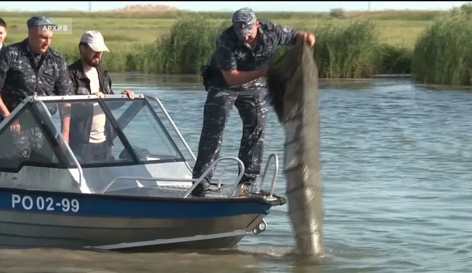 �� ���� ���������� ����������������� �������� ������� � 2026�