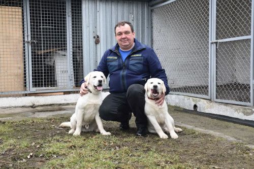 �������������� ������ ������� ����������� ����������� �� ���������� ���������