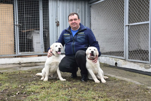 Кинологическая служба региона пополнилась лабрадорами из рязанского питомника