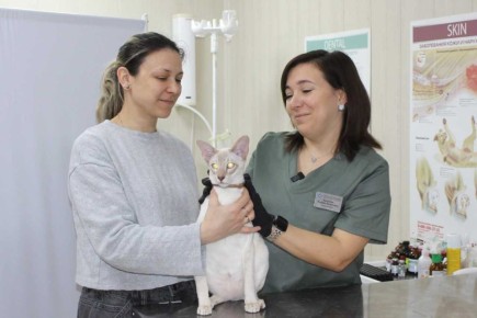 ���������� �������� ������� ����� ��������� �������� ����� �� �������� ������������ ����������� ���