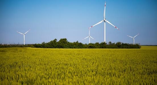 ������������ ���������� ������������� ������������������� �� ����