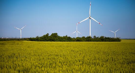 Промышленные альпинисты отремонтируют ветроэлектростанции на Дону