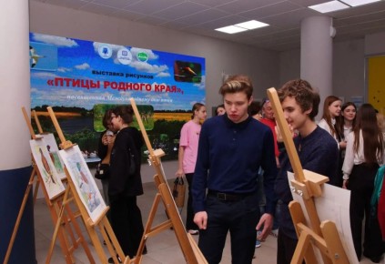 Ростовских школьников приглашают на выставку рисунков и фотографий «Птицы родного края»