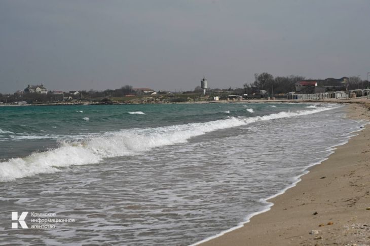 У берегов Крыма стремительно распространяется новый морской деликатес