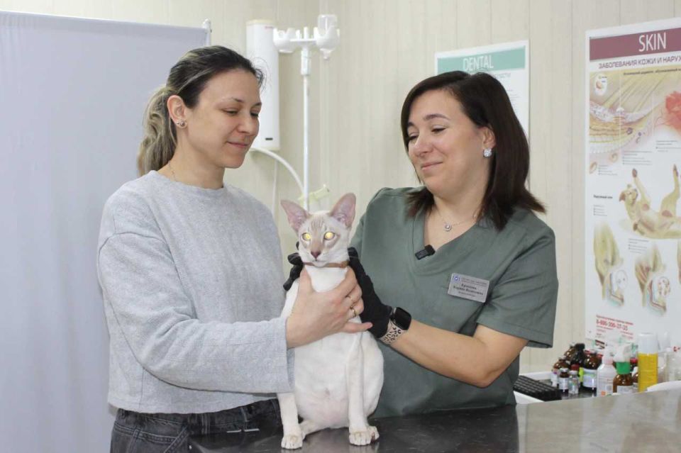 � ������� � ����� �� �������� ���� ���� ������������� 300 ����� � �����