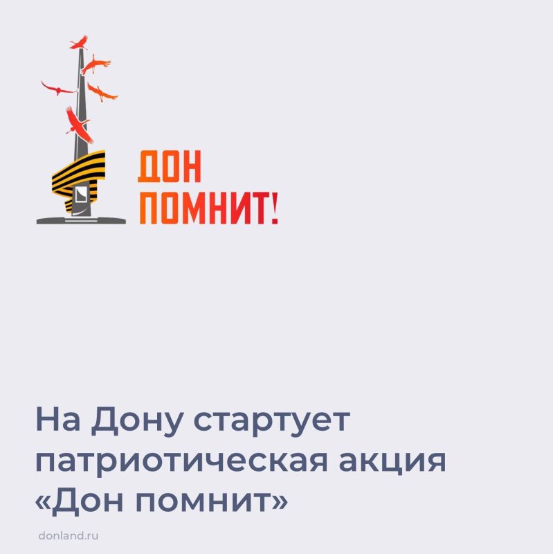 � ���������� ������� �������� �������������� ����� ���� ������, ����������� 81-� ��������� ������� ������