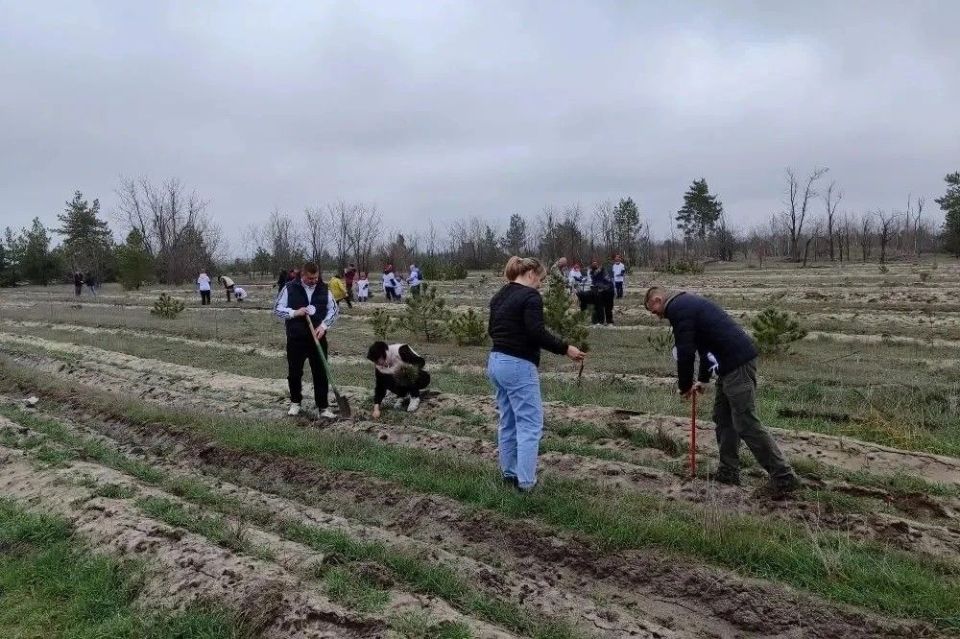 �� ���������� ������� ����� ���������� ������� ������������ ������������� ����� ���� ������