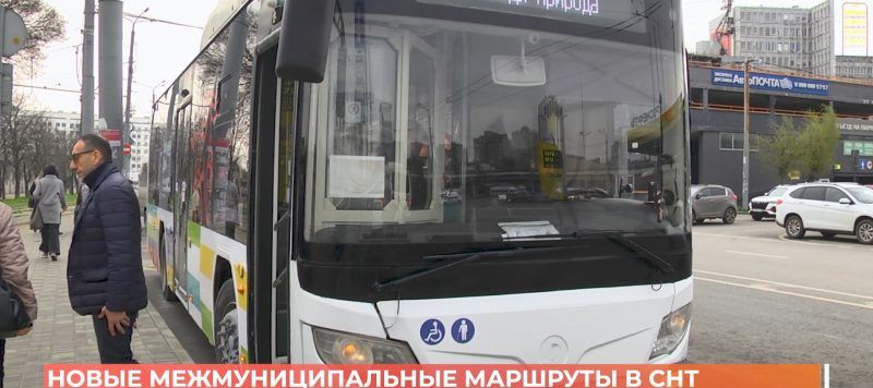 16 новых автобусных маршрутов до СНТ будут работать в дачный сезон