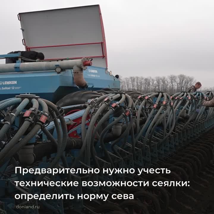 �������� �������� �������� �������� ����: ������� ��� ����������� �������, ����� ������� ���, �������� ������, �������