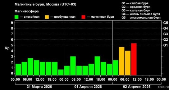 �� ����� �������� ��������� ���� �������� ������