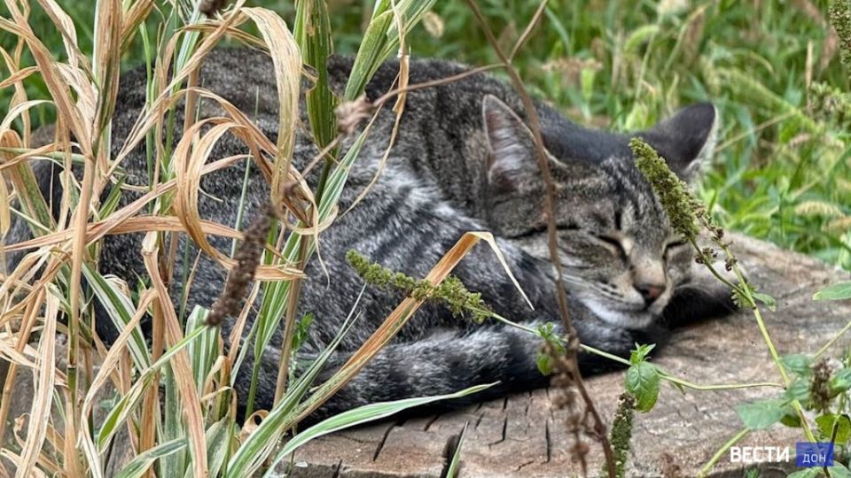 � ������� ������� ������� ����� ����� ����������� ���