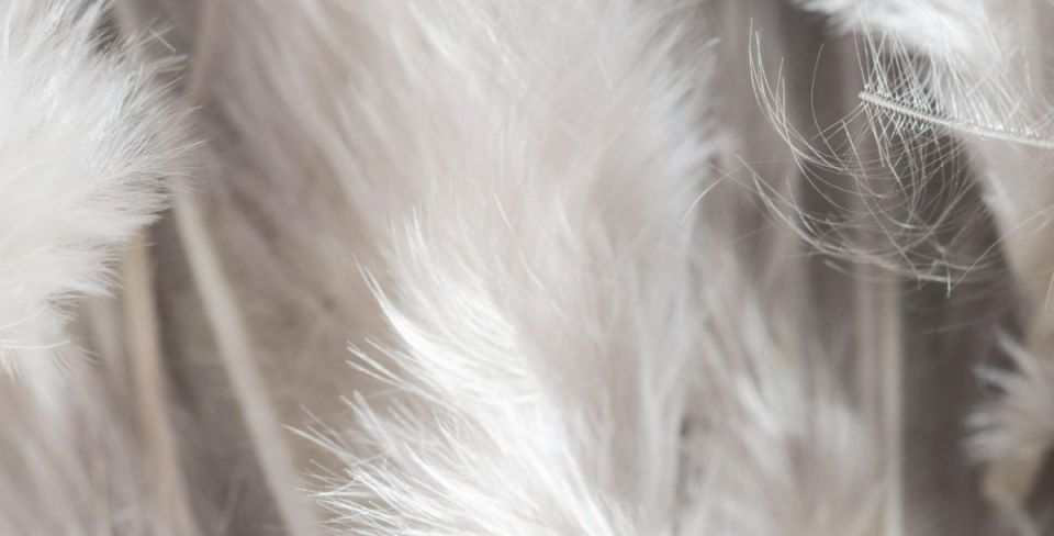 �� ���������� ������� � ����� �������������� ����� 12 ���� ������������ �����