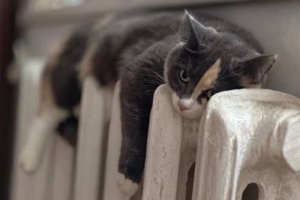 � ������������� ������ ������� � ������� �������� ��������� ������ ����� � �������� ������������� � ����� 100 ����� �����