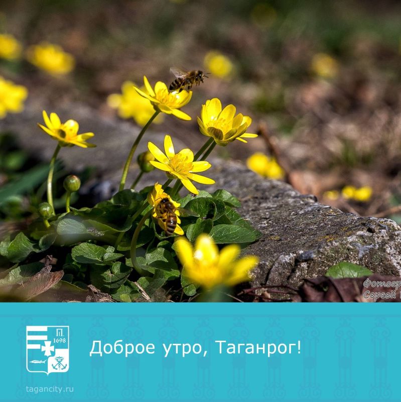 Доброе утро — и вперёд к выходным!