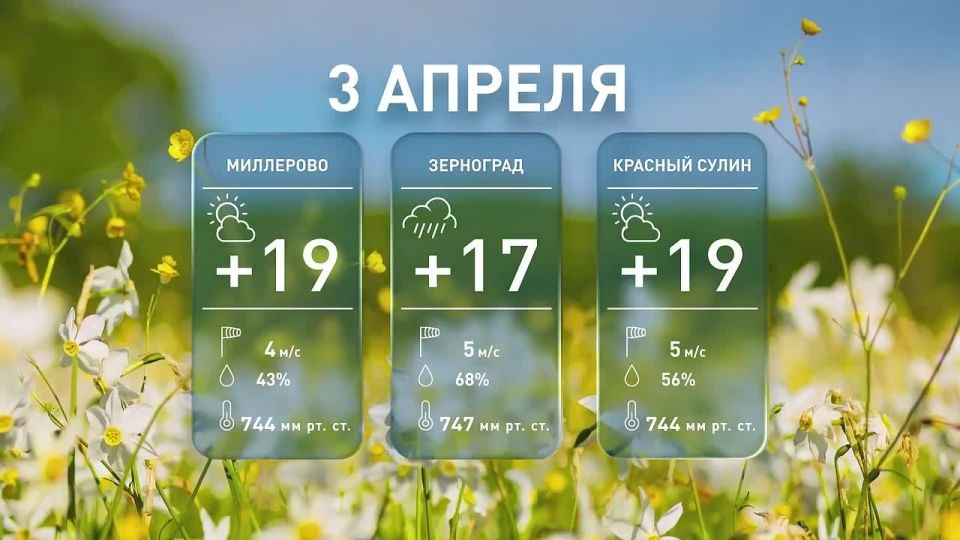 По северу до +20 °С: какая погода ждёт дончан сегодня?
