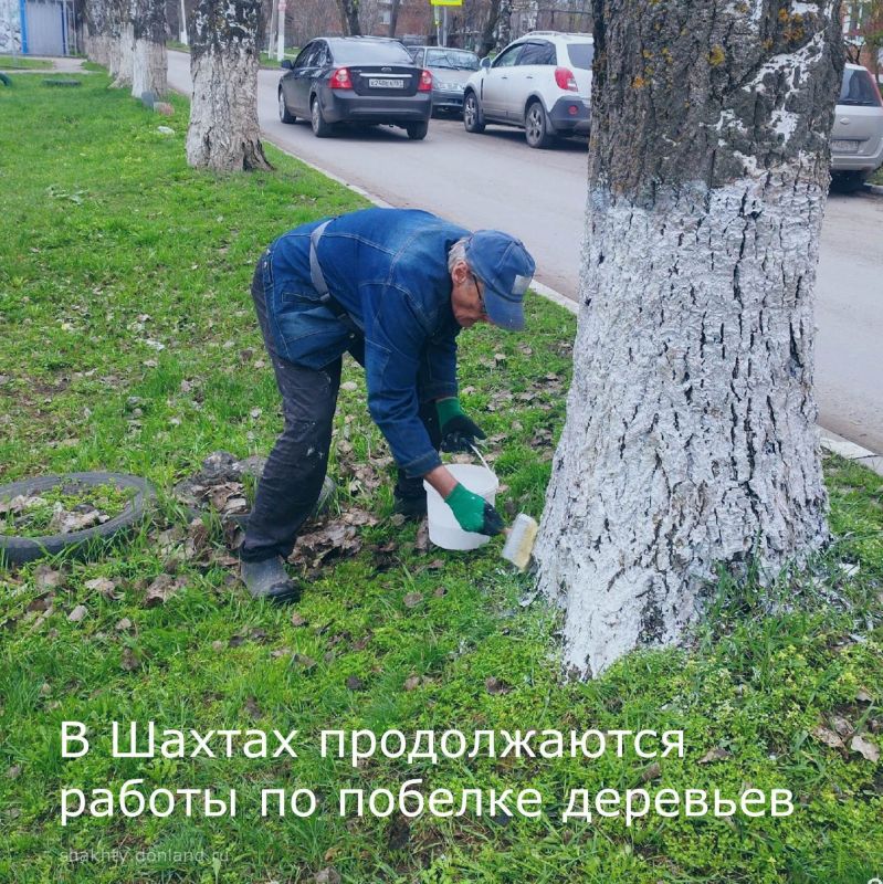 День чистоты!. Во время месячника чистоты сотрудники Неждановского территориального отдела занимаются побелкой деревьев – это важный этап благоустройства территории