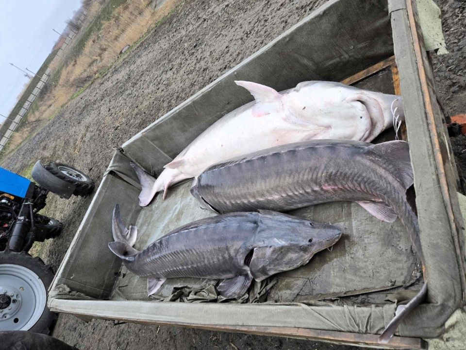 � �������� ���� ������������ ������ �� �������������� ��������� ��������� ����� ���