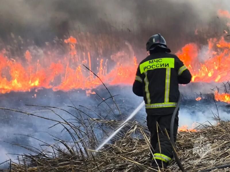 Пожароопасный сезон начался в Ростовской области