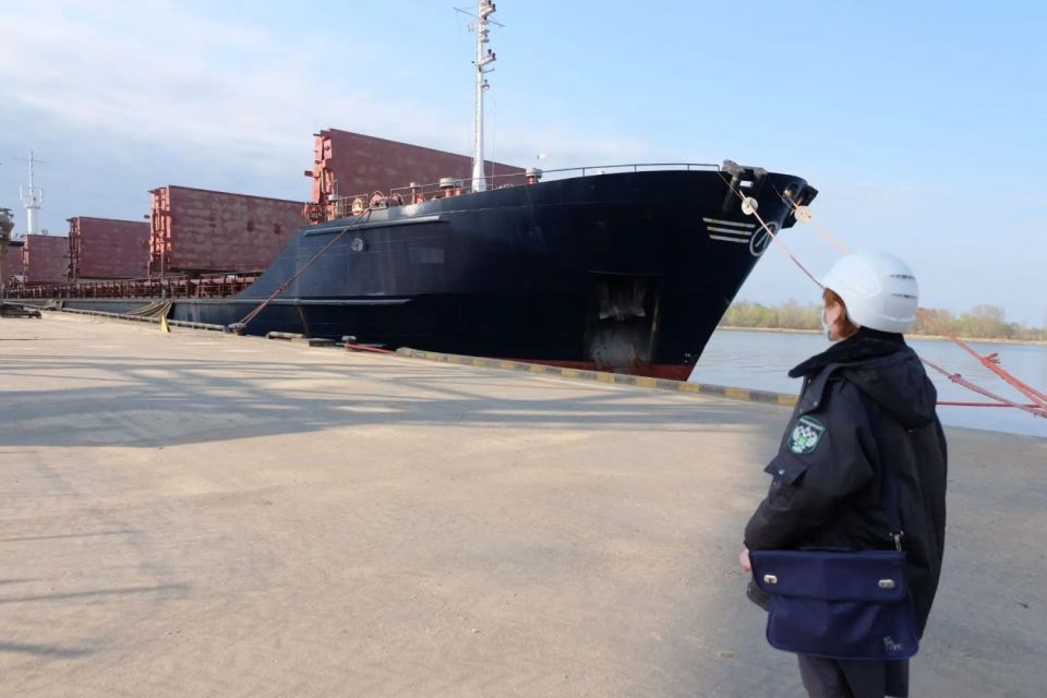 Из Ростовской области в Египет экспортировано более 5 тыс. т кормов для животных