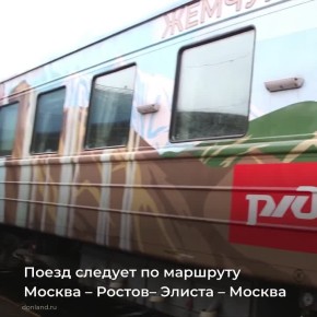 Возобновилось курсирование круизного туристского поезда «Цветущая степь»