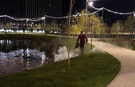 � ������ ������� ��������� ���������� ������ �� ����������� ����������