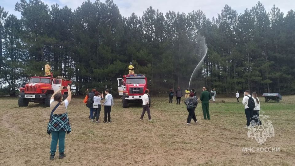 "Сад памяти" высадили в Каменском районе, сообщили в МЧС по Ростовской области