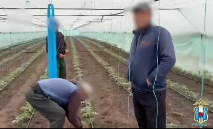 ������� ����������� ������������� 28 ��������� ������������� ����������������