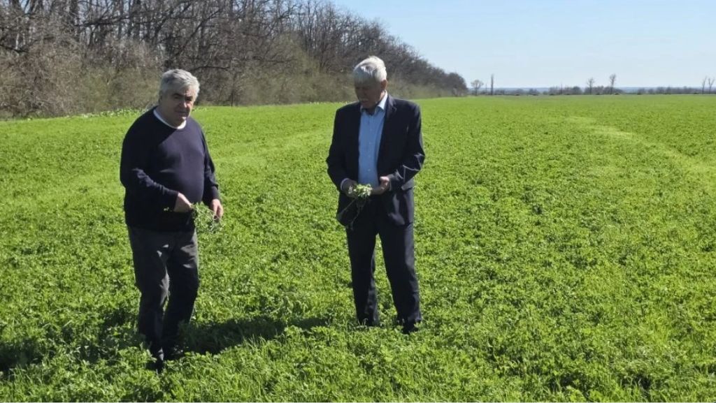 Вячеслав Василенко: «Успех будущих урожаев напрямую зависит от защитного лесоразведения»