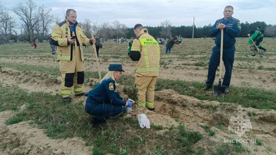 «Сад памяти» высадили в Михайловском лесничестве