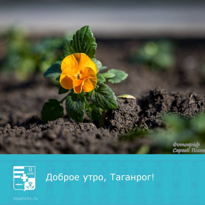 Доброе утро! Хорошего настроения на весь день!