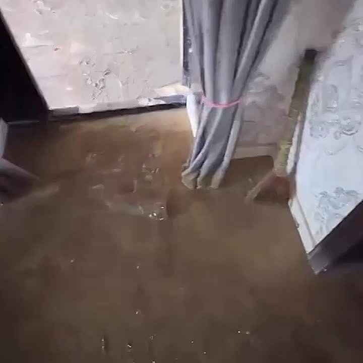 ���������� �� "������" ������� ��� ������� � �������, ������� �������� ��-�� ���������� � ���������