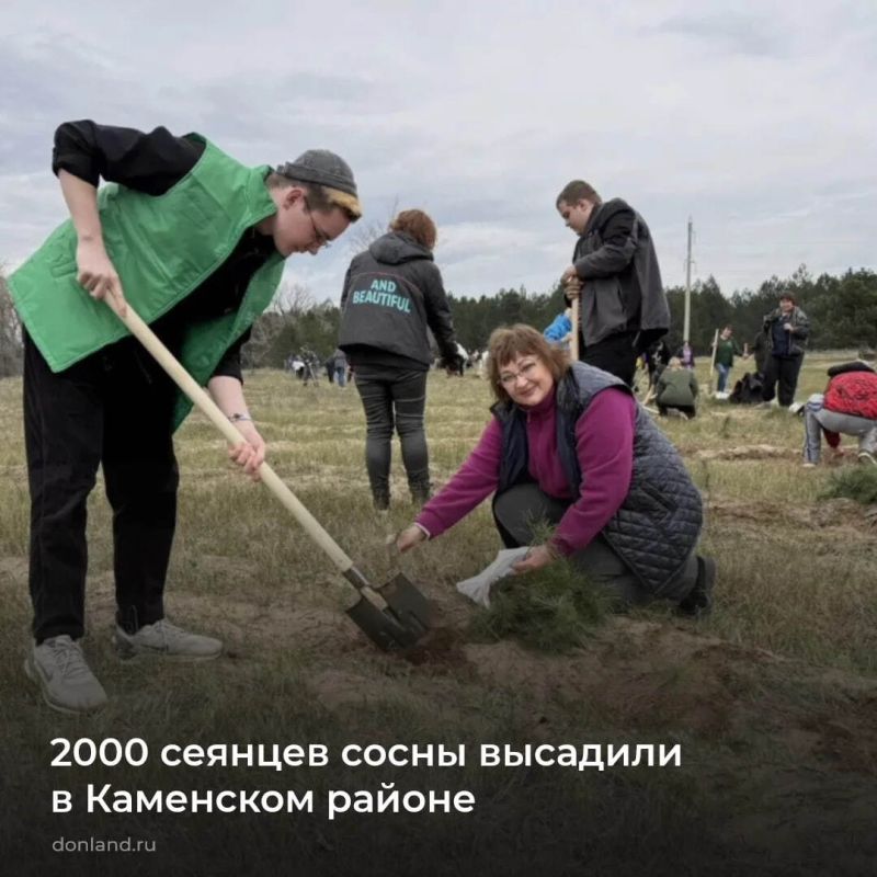 В Каменском районе в рамках международной акции по увековечению памяти героев Великой Отечественной войны «Сад памяти» высадили 2 000 сеянцев сосны