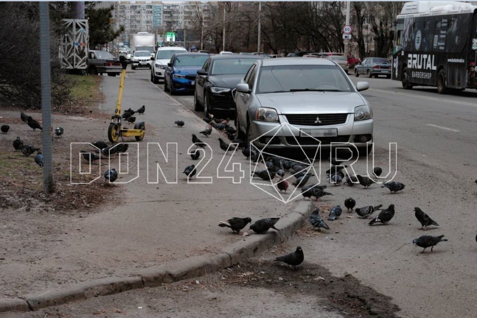 ���� �� ��������: ��� �� �������, ��������� � ��������� ������ � ��������