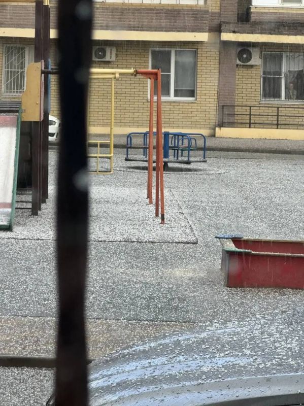 ���� ��� ������ �� ��������